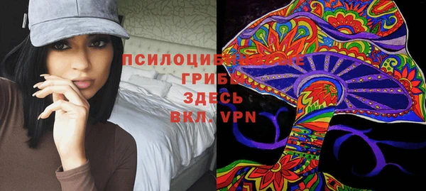 ECSTASY Алексин