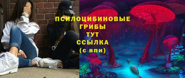 мдпв Саяногорск
